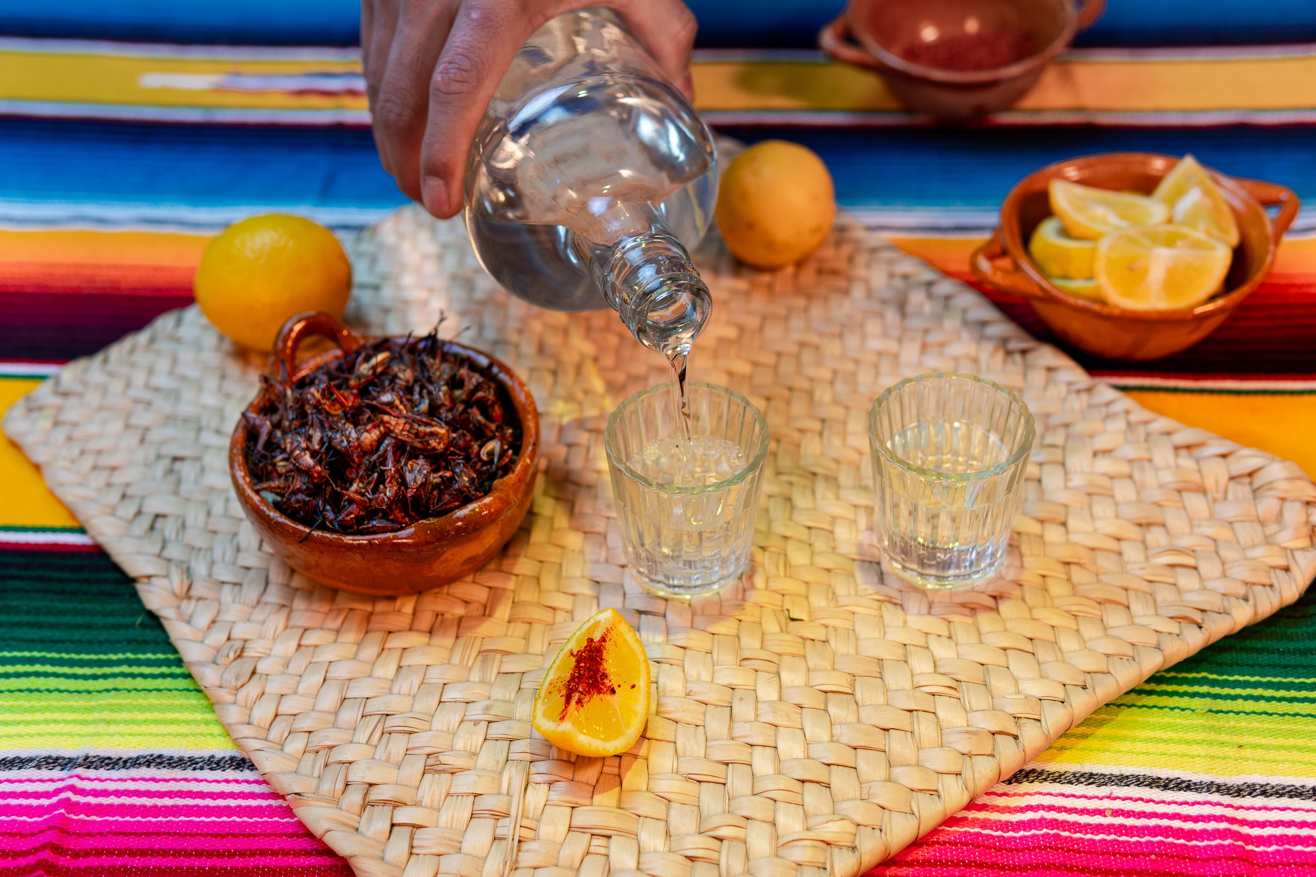 Mezcal artesanal