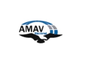 AMAV logo featuring blue arc design and black silhouette of Texas map with text