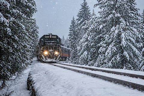 Freight train traveling through snowy evergreen forest on railroad tracks during winter snowstorm