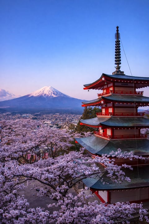 Red pagoda with Mount Fuji and cherry blossoms at twilight in Japan