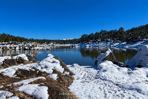 Snow-covered landscape with a frozen lake surrounded by pine trees and rocky shores on a clear winter day
